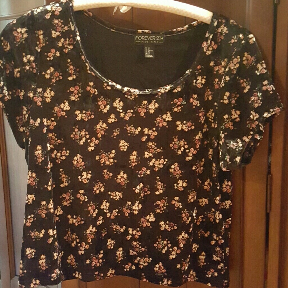 Plus size crush velvet top